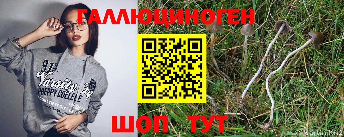 Псилоцибиновые грибы мицелий  Псилоцибиновые грибы MAGIC MUSHROOMS  Алексеевка  Вход с VPN 