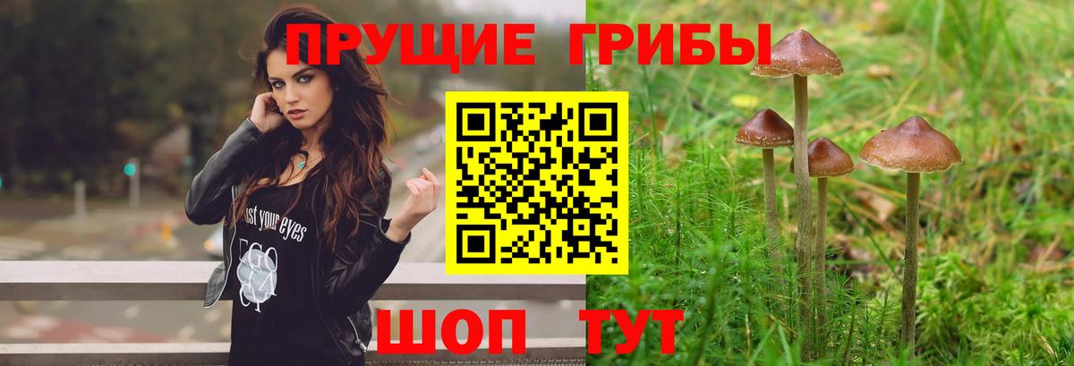 Псилоцибиновые грибы Magic Shrooms Алексеевка